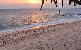 Coconut Tree Hill Rekawa